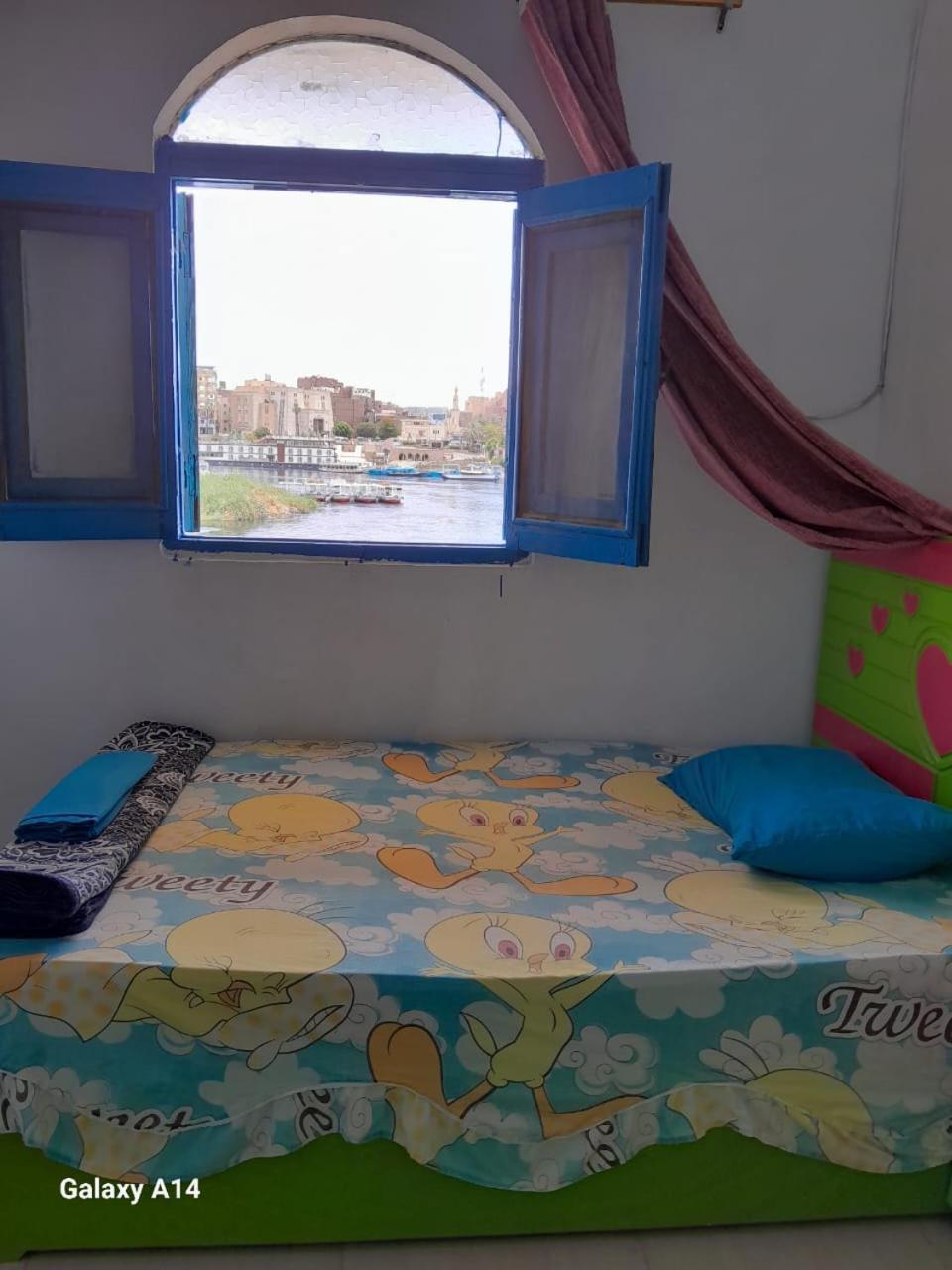 Nile View Rana Nubian Guest Houes 호텔 아스완 외부 사진