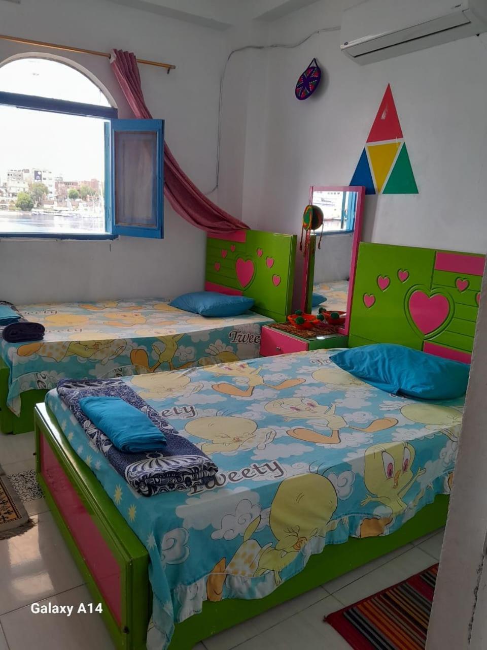 Nile View Rana Nubian Guest Houes 호텔 아스완 외부 사진